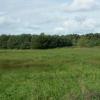 Natura Trail Nuthe Landschaft, Potsdam