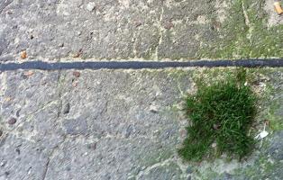 Versiegelter Boden Mit Beton versiegelter Boden